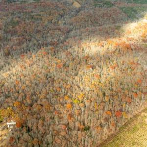 Photo #18 of 14100 CEDAR PLANTATION RD, SPOTSYLVANIA, VA 30.1 acres