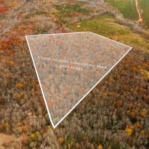 Photo #1 of 14100 CEDAR PLANTATION RD, SPOTSYLVANIA, VA 30.1 acres