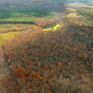 Photo #5 of 14100 CEDAR PLANTATION RD, SPOTSYLVANIA, VA 30.1 acres