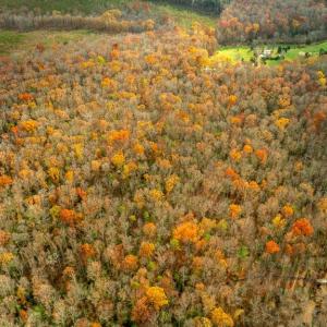 Photo #4 of 14100 CEDAR PLANTATION RD, SPOTSYLVANIA, VA 30.1 acres