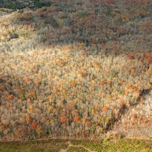 Photo #15 of 14100 CEDAR PLANTATION RD, SPOTSYLVANIA, VA 30.1 acres