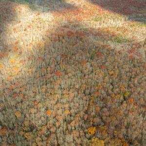 Photo #19 of 14100 CEDAR PLANTATION RD, SPOTSYLVANIA, VA 30.1 acres