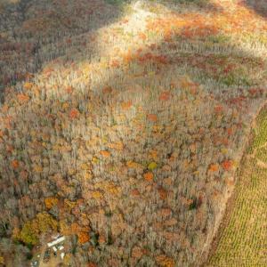 Photo #20 of 14100 CEDAR PLANTATION RD, SPOTSYLVANIA, VA 30.1 acres