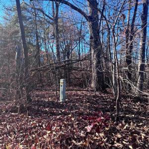 Photo #2 of MAIN UNO BAPTIST CHURCH LN, ROCHELLE, VA 4.2 acres