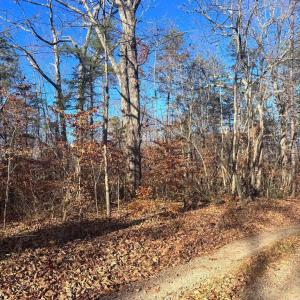 Photo #3 of MAIN UNO BAPTIST CHURCH LN, ROCHELLE, VA 4.2 acres