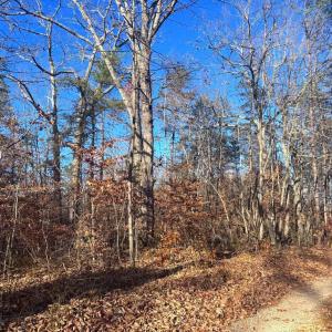 Photo #4 of MAIN UNO BAPTIST CHURCH LN, ROCHELLE, VA 4.2 acres