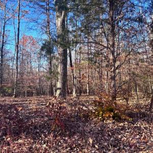 Photo #5 of MAIN UNO BAPTIST CHURCH LN, ROCHELLE, VA 4.2 acres