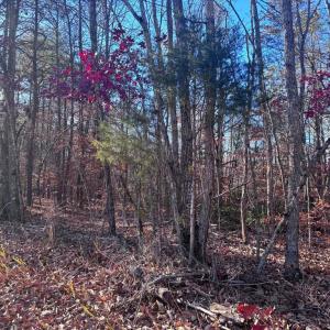 Photo #10 of MAIN UNO BAPTIST CHURCH LN, ROCHELLE, VA 4.2 acres