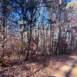 Photo #6 of MAIN UNO BAPTIST CHURCH LN, ROCHELLE, VA 4.2 acres