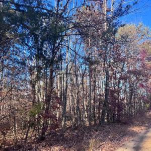 Photo #7 of MAIN UNO BAPTIST CHURCH LN, ROCHELLE, VA 4.2 acres