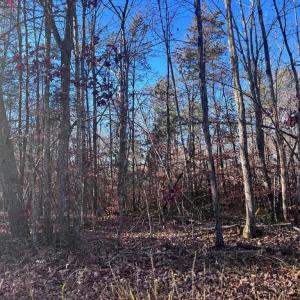 Photo #8 of MAIN UNO BAPTIST CHURCH LN, ROCHELLE, VA 4.2 acres