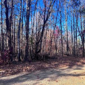 Photo #9 of MAIN UNO BAPTIST CHURCH LN, ROCHELLE, VA 4.2 acres