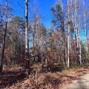 Photo #11 of MAIN UNO BAPTIST CHURCH LN, ROCHELLE, VA 4.2 acres