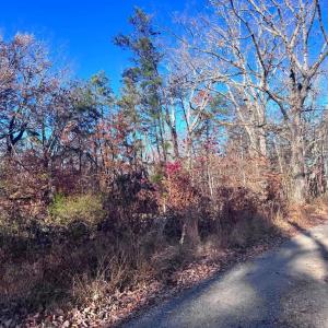 Photo #12 of MAIN UNO BAPTIST CHURCH LN, ROCHELLE, VA 4.2 acres