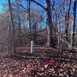 Photo #3 of MAIN UNO BAPTIST CHURCH LN, ROCHELLE, VA 4.2 acres