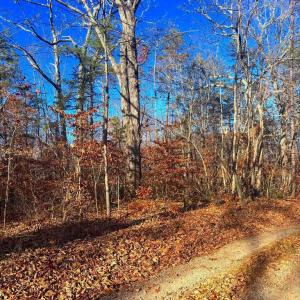 Photo #4 of MAIN UNO BAPTIST CHURCH LN, ROCHELLE, VA 4.2 acres