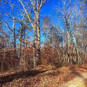 Photo #5 of MAIN UNO BAPTIST CHURCH LN, ROCHELLE, VA 4.2 acres