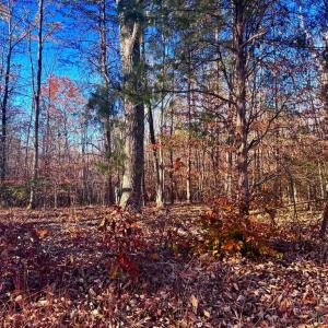 Photo #6 of MAIN UNO BAPTIST CHURCH LN, ROCHELLE, VA 4.2 acres