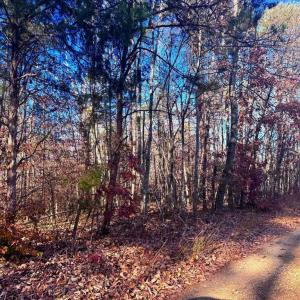 Photo #7 of MAIN UNO BAPTIST CHURCH LN, ROCHELLE, VA 4.2 acres