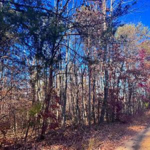 Photo #8 of MAIN UNO BAPTIST CHURCH LN, ROCHELLE, VA 4.2 acres