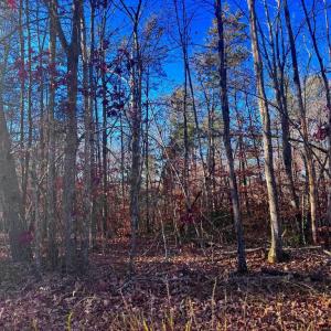 Photo #9 of MAIN UNO BAPTIST CHURCH LN, ROCHELLE, VA 4.2 acres