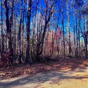 Photo #10 of MAIN UNO BAPTIST CHURCH LN, ROCHELLE, VA 4.2 acres