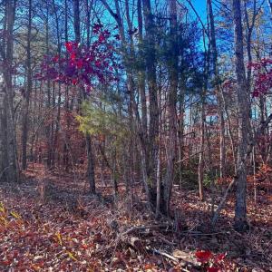 Photo #11 of MAIN UNO BAPTIST CHURCH LN, ROCHELLE, VA 4.2 acres