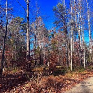 Photo #12 of MAIN UNO BAPTIST CHURCH LN, ROCHELLE, VA 4.2 acres