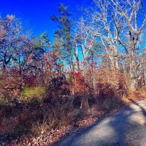 Photo #13 of MAIN UNO BAPTIST CHURCH LN, ROCHELLE, VA 4.2 acres