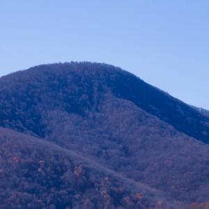 Photo #11 of 38 BEAR WALLOW RD, HUNTLY, VA 13.9 acres