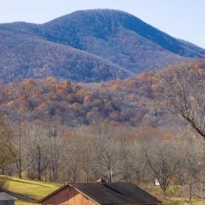 Photo #14 of 38 BEAR WALLOW RD, HUNTLY, VA 13.9 acres