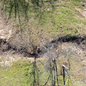 Photo #15 of 38 BEAR WALLOW RD, HUNTLY, VA 13.9 acres