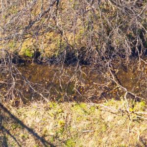 Photo #21 of 38 BEAR WALLOW RD, HUNTLY, VA 13.9 acres