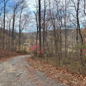 Photo #24 of FIERY RUN RD, LINDEN, VA 37.6 acres