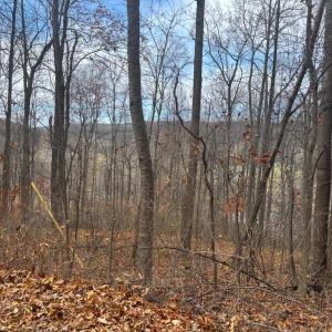 Photo #17 of FIERY RUN RD, LINDEN, VA 37.6 acres