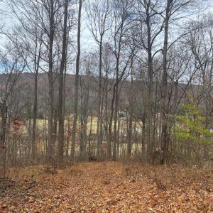 Photo #18 of FIERY RUN RD, LINDEN, VA 37.6 acres