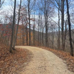 Photo #19 of FIERY RUN RD, LINDEN, VA 37.6 acres