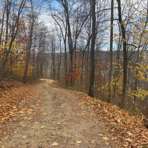 Photo #20 of FIERY RUN RD, LINDEN, VA 37.6 acres