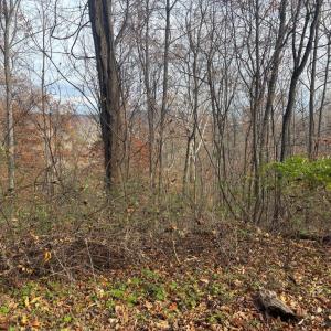 Photo #22 of FIERY RUN RD, LINDEN, VA 37.6 acres