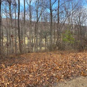 Photo #23 of FIERY RUN RD, LINDEN, VA 37.6 acres
