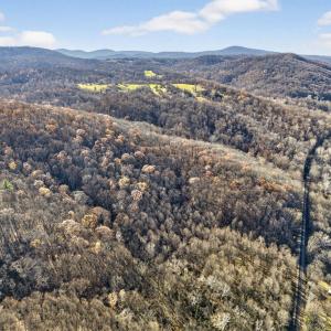 Photo #7 of FIERY RUN RD, LINDEN, VA 37.6 acres