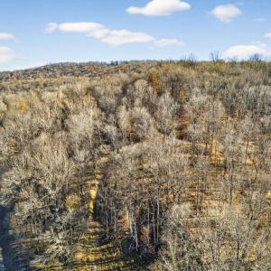 Photo #9 of FIERY RUN RD, LINDEN, VA 37.6 acres