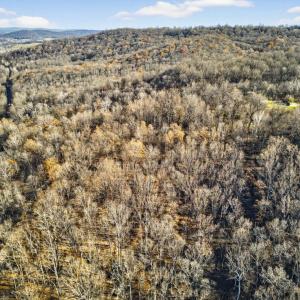 Photo #12 of FIERY RUN RD, LINDEN, VA 37.6 acres