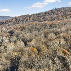 Photo #16 of FIERY RUN RD, LINDEN, VA 37.6 acres