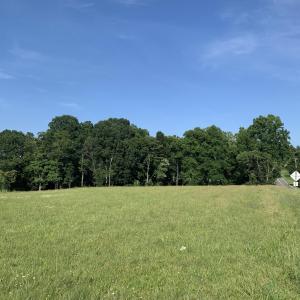 Lot 16 looking toward Lot 14