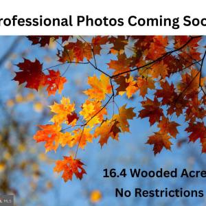 Photo #1 of TAX MAP 69 2B ELEYS FORD RD., RICHARDSVILLE, VA 16.4 acres