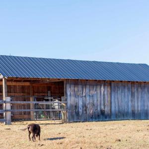 Photo #27 of 25862 INDEPENDENCE RD, UNIONVILLE, VA 7.0 acres