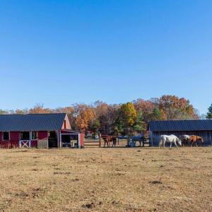 Photo #32 of 25862 INDEPENDENCE RD, UNIONVILLE, VA 7.0 acres