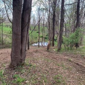 Photo #3 of WINCHESTER ROAD, DELAPLANE, VA 2.1 acres