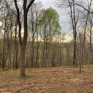 Photo #1 of WINCHESTER ROAD, DELAPLANE, VA 2.1 acres
